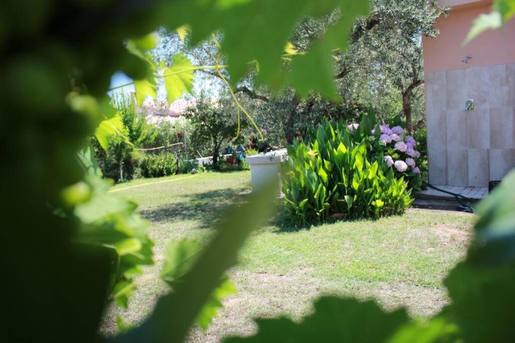 Villa Di Campagna Vicino Al Mare Orosei Exterior photo